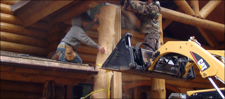 Log Home Log Replacement  Concord, Virginia